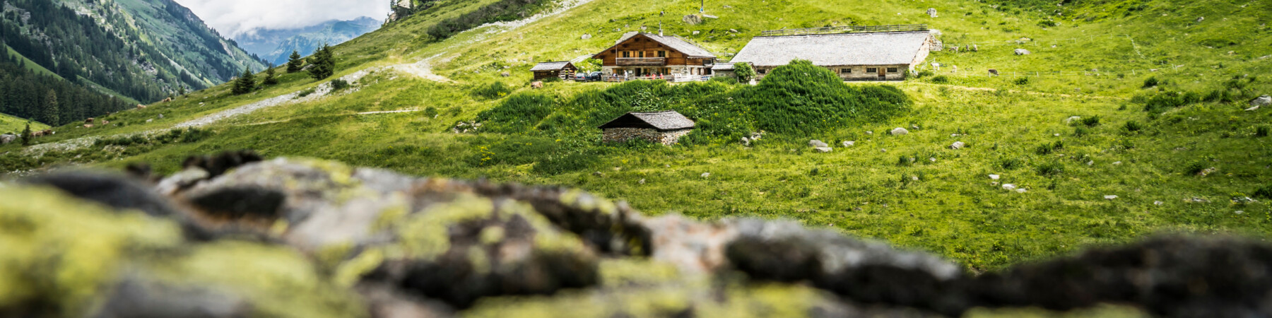 Alpe Garnera | © Vorarlberg Tourismus, Dietmar Denger Blicke auf Alpe Garnera im Sommer | © Vorarlberg Tourismus, Dietmar Denger