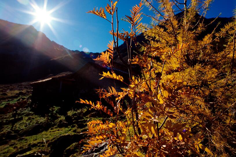 Alpe mit herbstlichen Farben im hinteren Silbertal | © Montafoner Kristbergbahn Silbertal GmbH - Patrick Säly Alpe mit herbstlichen Farben im hinteren Silbertal | © Montafoner Kristbergbahn Silbertal GmbH - Patrick Säly
